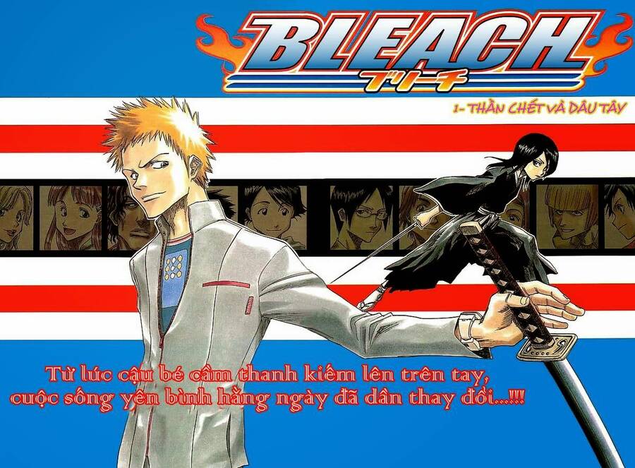 Ichigo the Grim Reaper