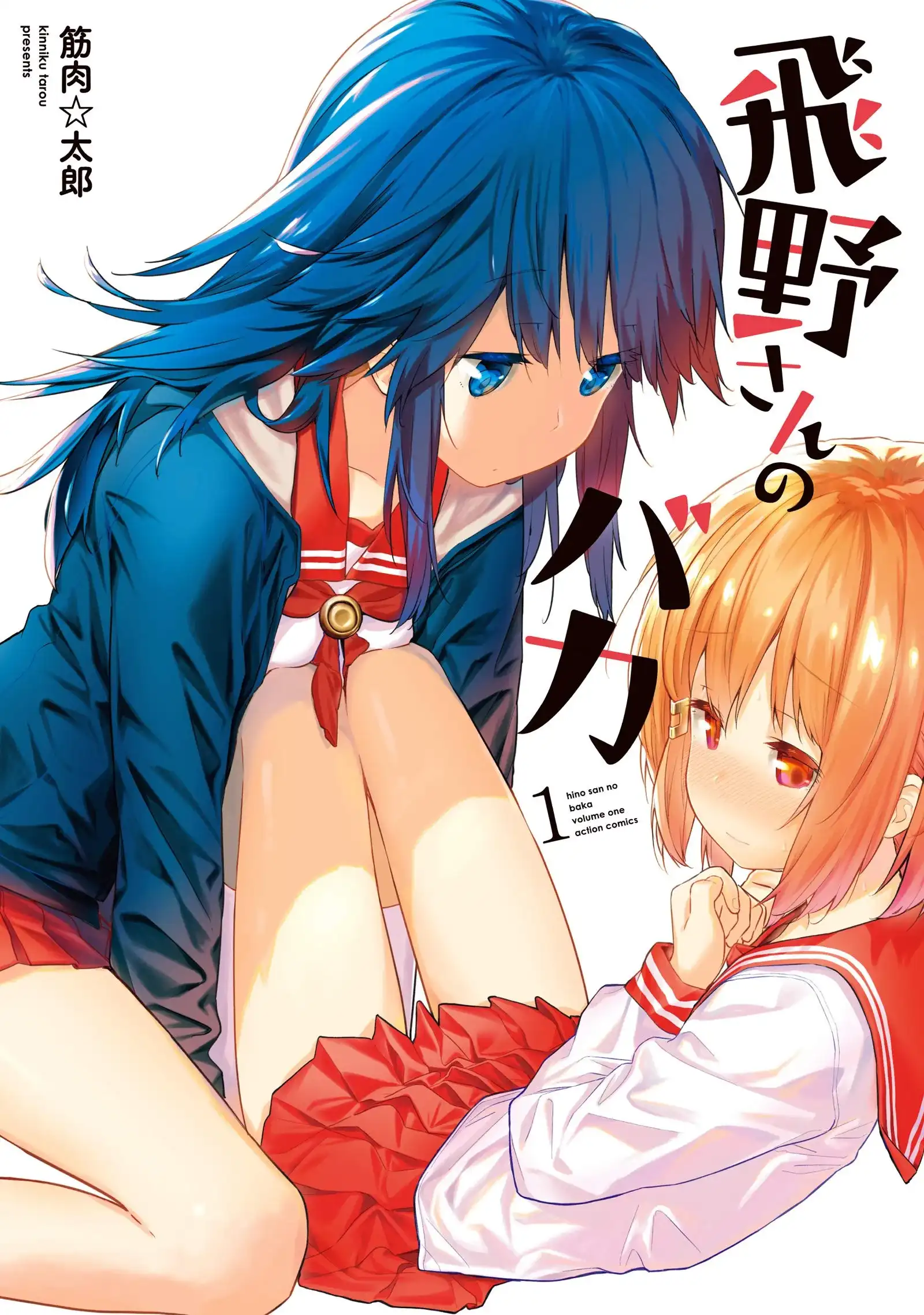 Tobino-san is an idiot